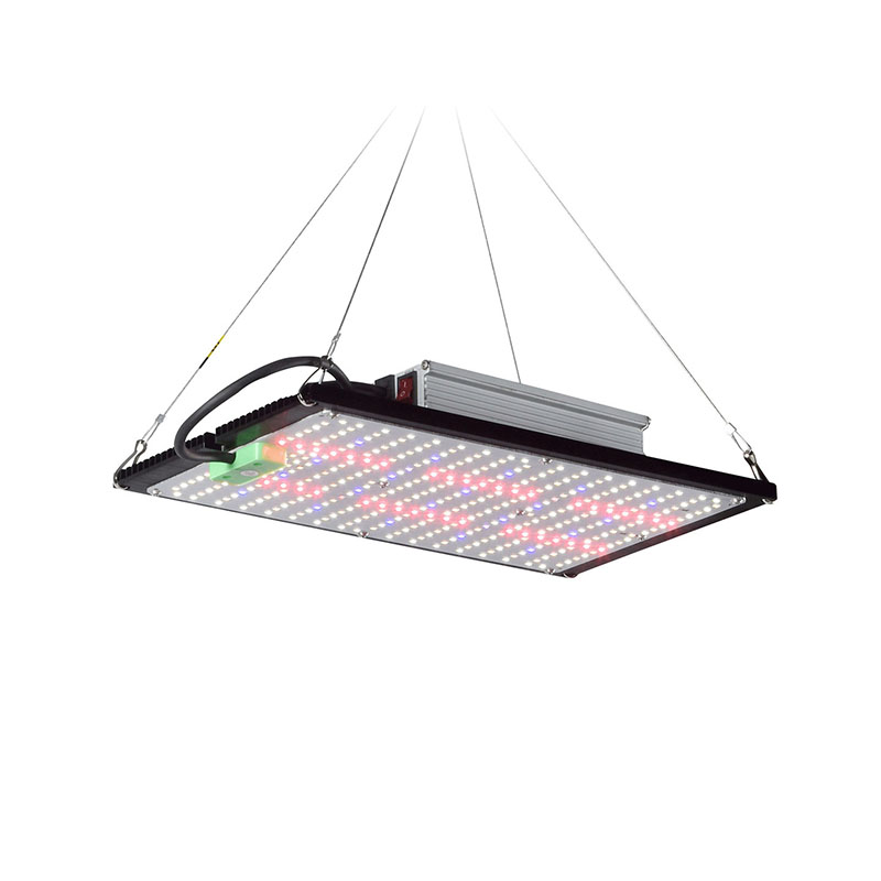 Plant Grow Light Full Spectrum - ไฟปลูกต้นไม้ LED แบบควอนตัมบอร์ด แบบสเปกตรัมเต็มรูปแบบ สำหรับแขวนเพิ่มแสงสว่างในโรงเรือนปลูกพืชผักและดอกไม้ในร่ม