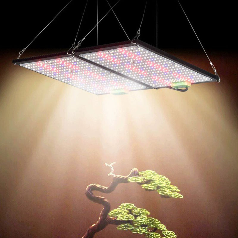 ไฟปลูกต้นไม้ LED แบบควอนตัมบอร - Plant Grow Light Full Spectrum บทวิจารณ์และราคา