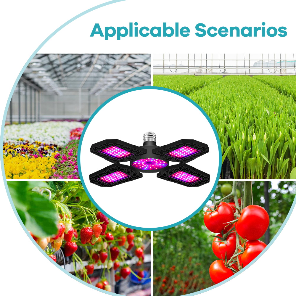หลอดไฟ LED สำหรับปลูกต้นไม้ E2 - Plant Grow Light Full Spectrum บทวิจารณ์และราคา