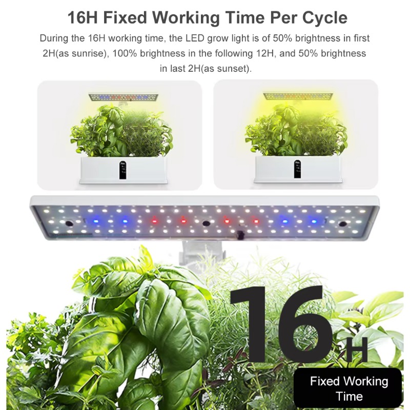 ระบบปลูกพืชไฮโดรโพนิกส์อัจฉริย - Smart Garden บทวิจารณ์และราคา