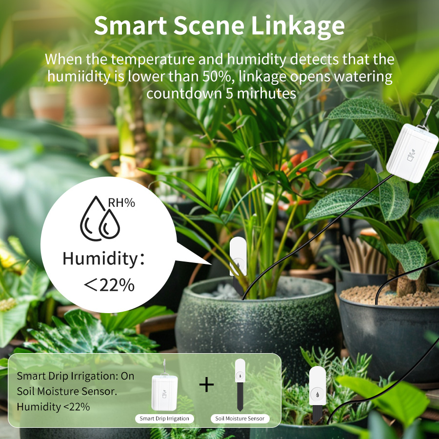 เครื่องวัดความชื้นและอุณหภูมิด - Smart Soil Sensor บทวิจารณ์และราคา