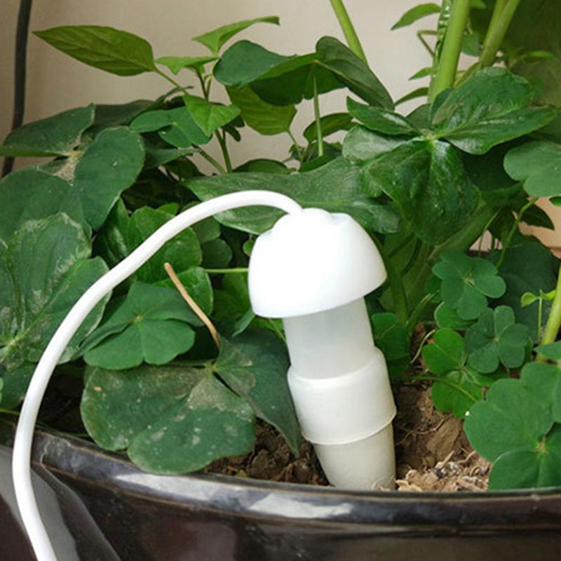 พืชรดน้ําอัตโนมัติอุปกรณ์พืชหย - Smart Garden Herb บทวิจารณ์และราคา