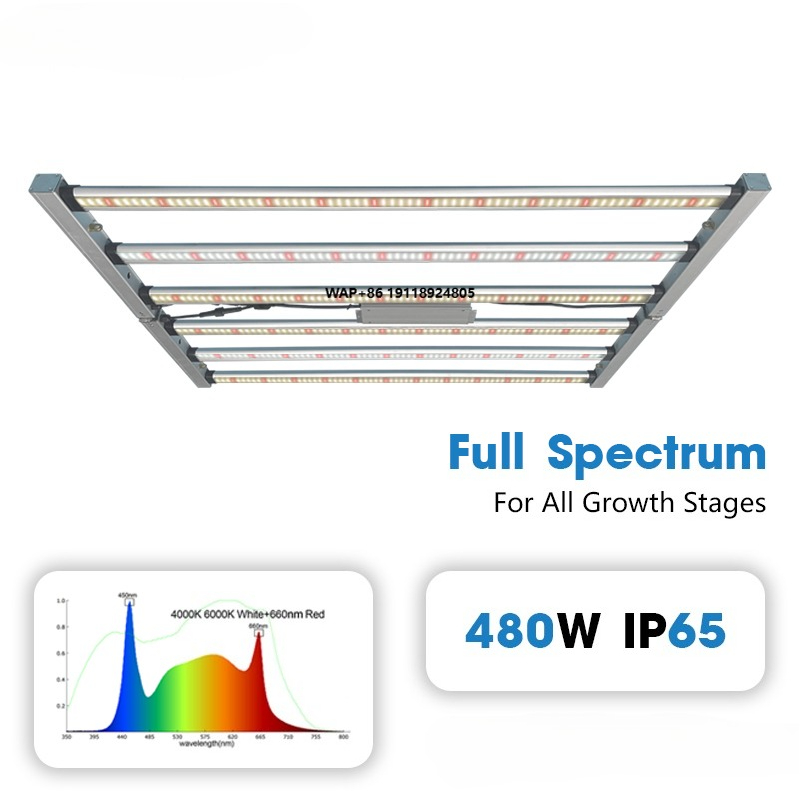 ไฟปลูกพืช LED กำลังสูงสำหรับกา - Plant Grow Light Full Spectrum บทวิจารณ์และราคา